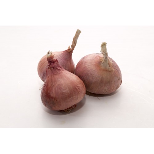 Red Onion  红葱
