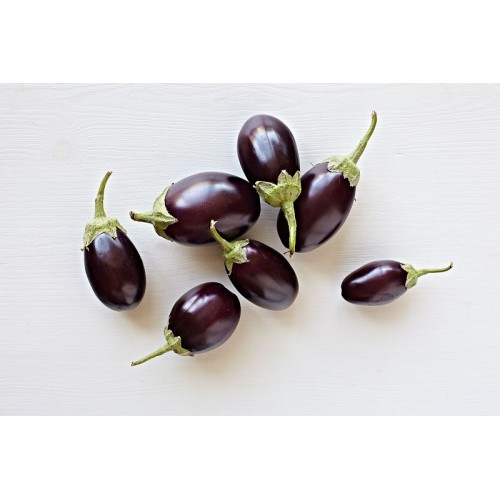 Round Brinjal 茄子