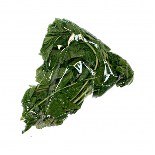 Mint Leaf 薄荷叶