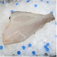 Fresh Leather Jacket