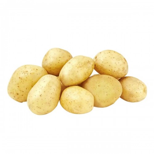 Fresh Potato 马铃薯