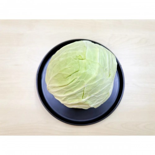 Fresh Round Cabbage