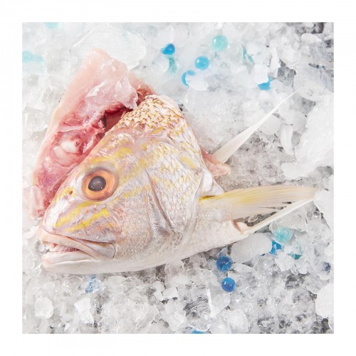 Flash Deal: White Snapper Fish Head (Ang Go Li) 红哥里鱼头