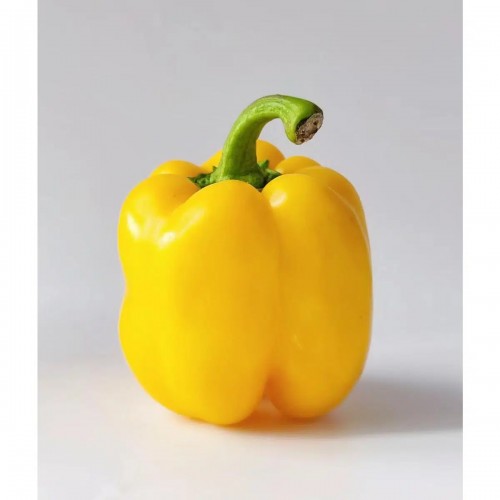 Fresh Yellow Capsicum